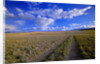 Ranch Road on Prairie by Anonymous