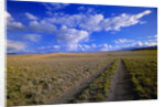 Ranch Road on Prairie by Anonymous