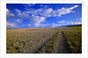 Ranch Road on Prairie by Anonymous