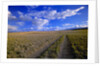 Ranch Road on Prairie by Anonymous