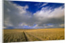 Ranch Road and Clouds by Anonymous