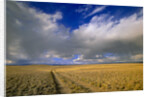 Ranch Road and Clouds by Anonymous