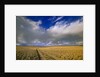Ranch Road and Clouds by Anonymous