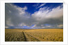 Ranch Road and Clouds by Anonymous