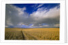 Ranch Road and Clouds by Anonymous