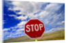 Stop Sign on Road Against Dramatic Sky by Anonymous