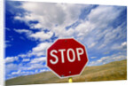 Stop Sign on Road Against Dramatic Sky by Anonymous