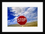 Stop Sign on Road Against Dramatic Sky by Anonymous