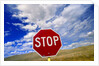 Stop Sign on Road Against Dramatic Sky by Anonymous
