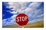 Stop Sign on Road Against Dramatic Sky by Anonymous