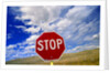 Stop Sign on Road Against Dramatic Sky by Anonymous