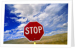 Stop Sign on Road Against Dramatic Sky by Anonymous
