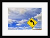 Curve Road Sign on Highway Against Sky by Anonymous