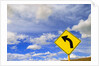 Curve Road Sign on Highway Against Sky by Anonymous
