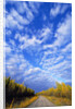 Gravel Road Under Dramatic Autumn Sky by Anonymous