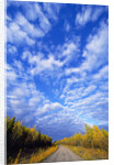 Gravel Road Under Dramatic Autumn Sky by Anonymous