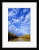 Gravel Road Under Dramatic Autumn Sky by Anonymous