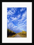 Gravel Road Under Dramatic Autumn Sky by Anonymous