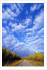 Gravel Road Under Dramatic Autumn Sky by Anonymous