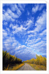 Gravel Road Under Dramatic Autumn Sky by Anonymous