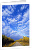 Gravel Road Under Dramatic Autumn Sky by Anonymous