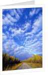 Gravel Road Under Dramatic Autumn Sky by Anonymous
