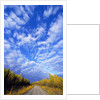 Gravel Road Under Dramatic Autumn Sky by Anonymous