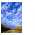 Gravel Road Under Dramatic Autumn Sky by Anonymous