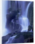 Waterfall in Iguazu National Park by Anonymous