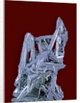 Antimonite by Anonymous