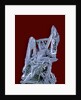 Antimonite by Anonymous