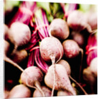 Fresh Organic Beets by Anonymous