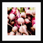 Fresh Organic Beets by Anonymous
