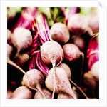 Fresh Organic Beets by Anonymous