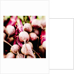 Fresh Organic Beets by Anonymous