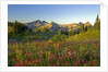 Wildflowers and Tatoosh Range by Anonymous