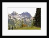 Deer and Pinnacle Peak by Anonymous