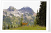 Deer and Pinnacle Peak by Anonymous
