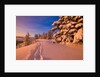Snow-Covered Trees at Sunrise by Anonymous