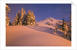 Sunrise on Mount Hood Timberline by Anonymous