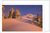 Sunrise on Mount Hood Timberline by Anonymous