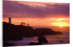 Yaquina Head Lighthouse at Sunset by Anonymous
