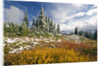 Autumn in the Cascades by Anonymous