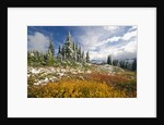 Autumn in the Cascades by Anonymous