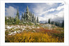 Autumn in the Cascades by Anonymous
