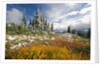 Autumn in the Cascades by Anonymous
