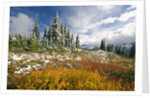 Autumn in the Cascades by Anonymous