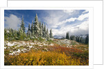 Autumn in the Cascades by Anonymous