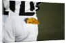 Referee with Penalty Flag in Pocket by Anonymous