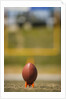 Football on Tee by Anonymous